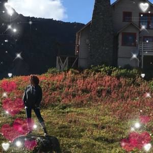 Meet your Posher, Heidi